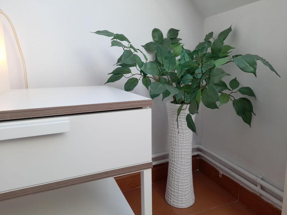 Atico Ciudadela Apartment Jaca Exterior foto
